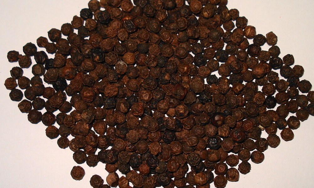 Black Pepper (Whole) - Srian Horizon Impex