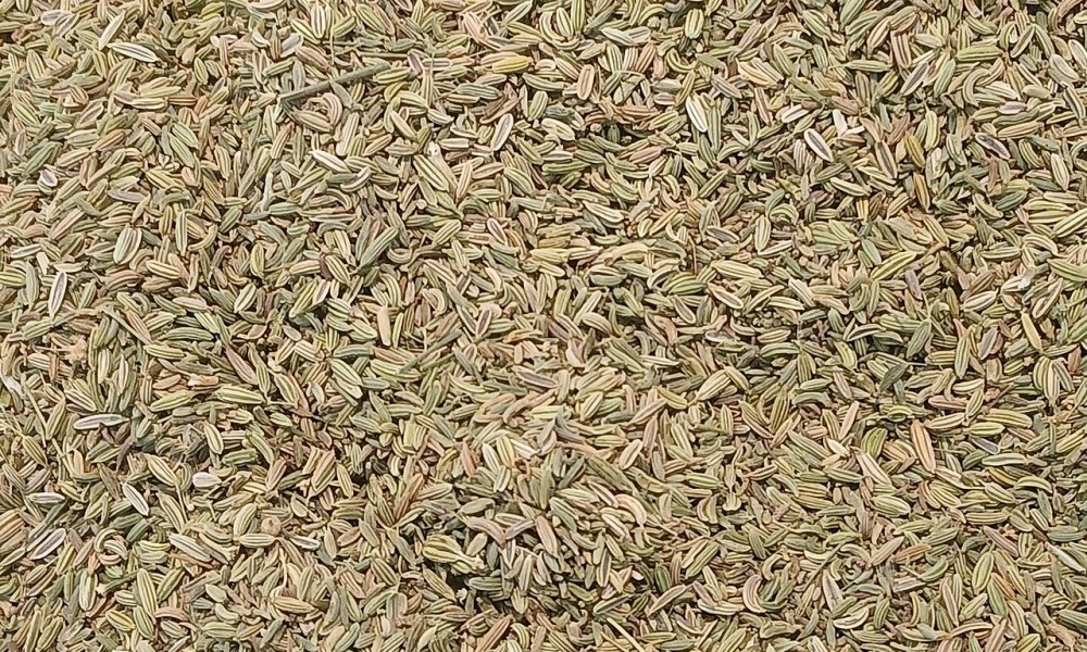 Cumin Seeds - Srian Horizon Impex